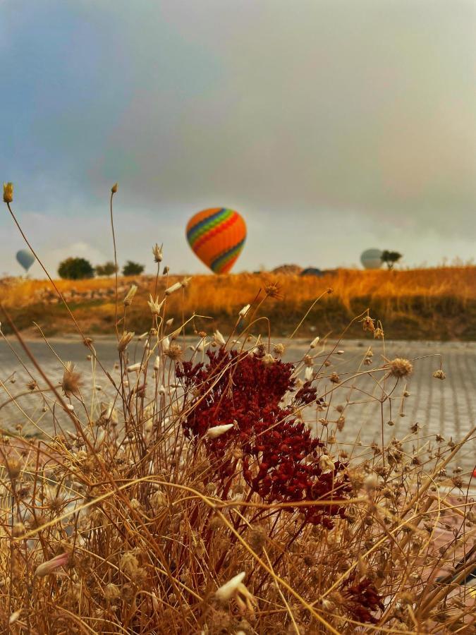 Soleado Cappadocia Hotel Uchisar Exterior foto